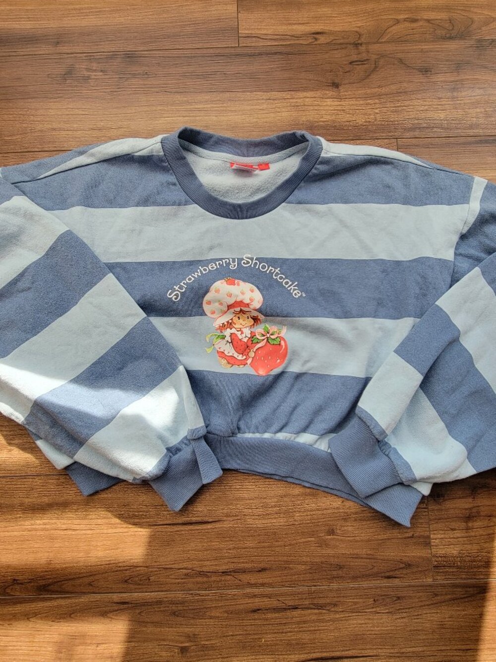 Strawberry Shortcake cropped sweatshirt XL blue & light blue striped
